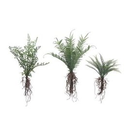 Creative Coop Faux Fern with Exposed Roots