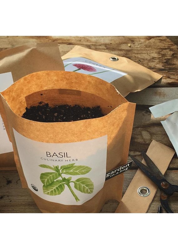 Potting Shed Creations Garden in a Bag | Basil