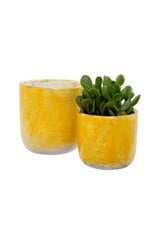 Indaba Palette Pots Set of 2, Lemon