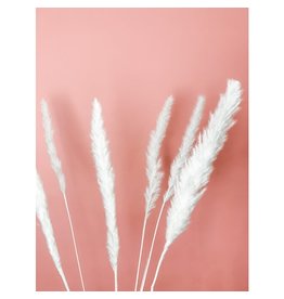 Fleurs Flowers Mini Pampas - Bleached