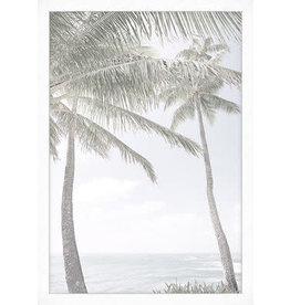 Palmeira na Praia