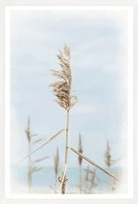 Celadon Dune Grass Triptych