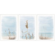 Celadon Dune Grass Triptych