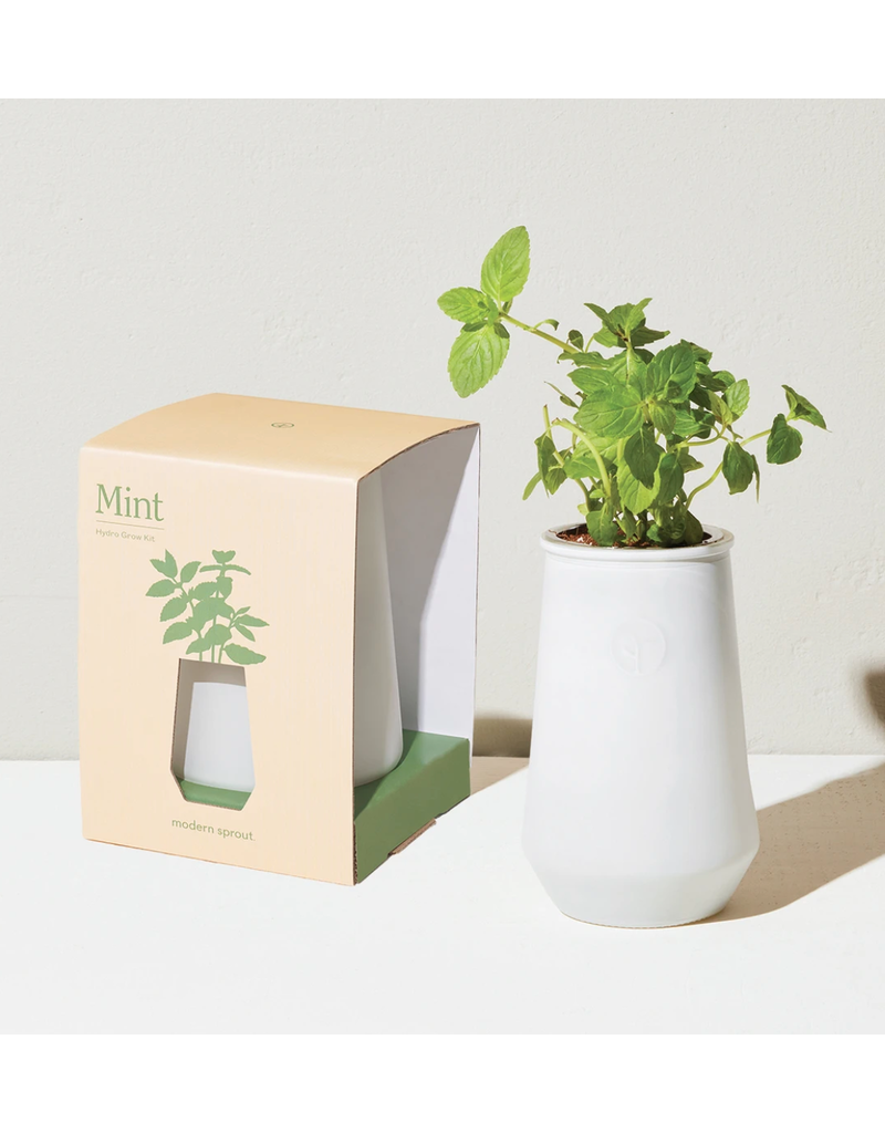 Modern Sprout White Tapered Tumbler - Mint