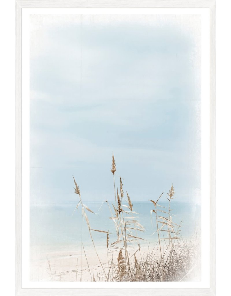 Celadon Dune Grass - Left