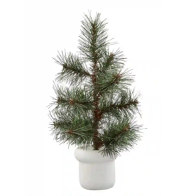 Potted Pine Tree - White