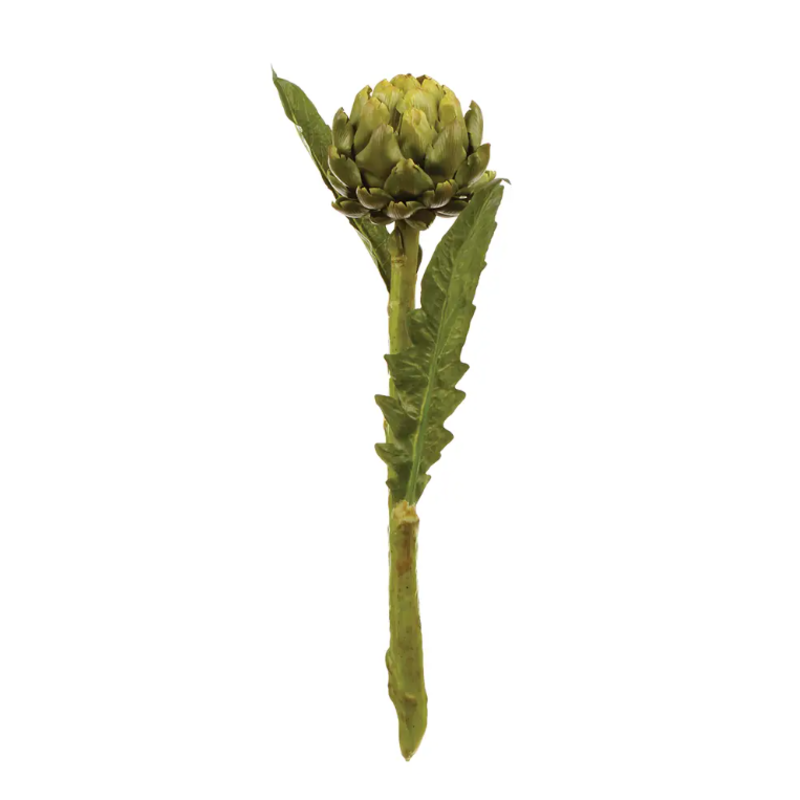 Faire Faux Artichoke Stem - 25"