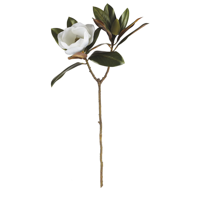 Napa Home & Garden Magnolia Stem 31"