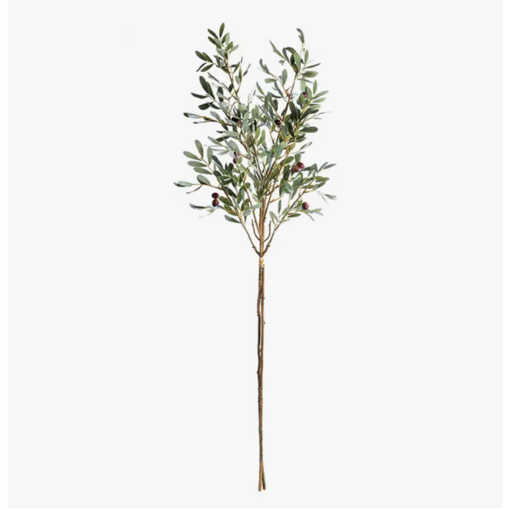Napa Home & Garden Olive Branch - Large