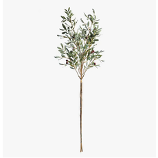Napa Home & Garden Olive Branch - Large