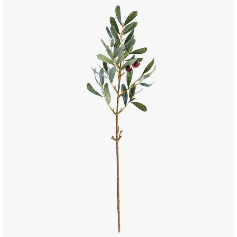 Napa Home & Garden Olive Branch - Small