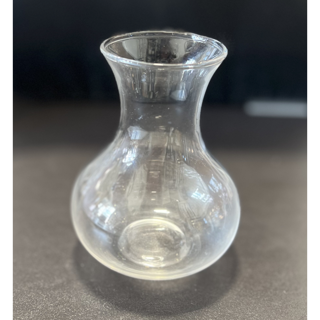 Glass Vase - Clear - SM