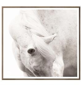 Celadon Equine Portrait