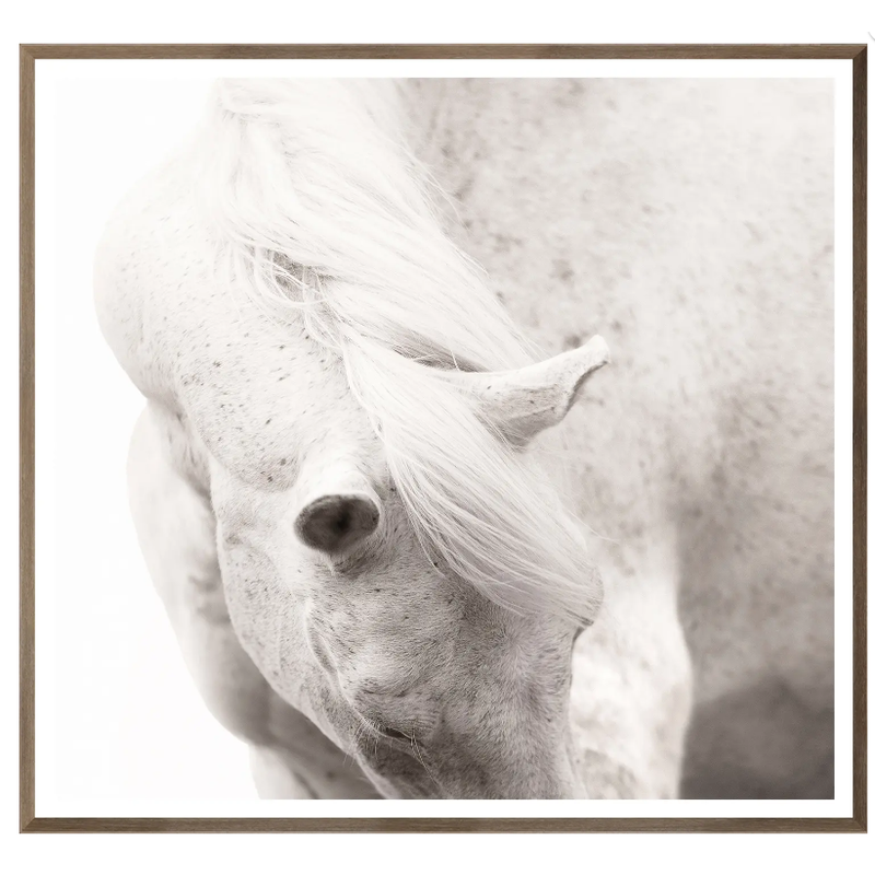 Celadon Equine Portrait