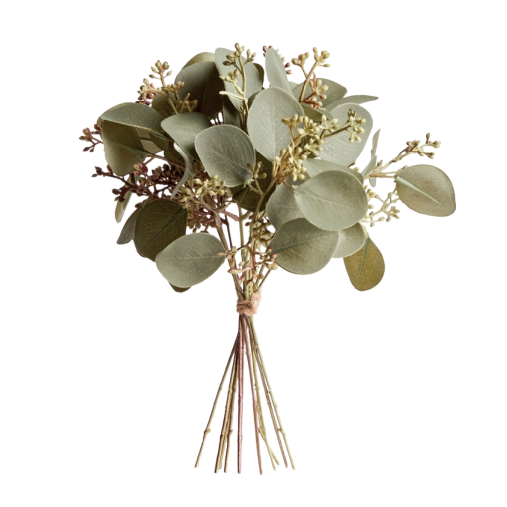 Napa Home & Garden Silver Dollar Eucalyptus Stems - Bundle of 12