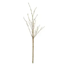 Napa Home & Garden Pussywillow Stem