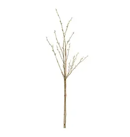 Napa Home & Garden Pussywillow Stem