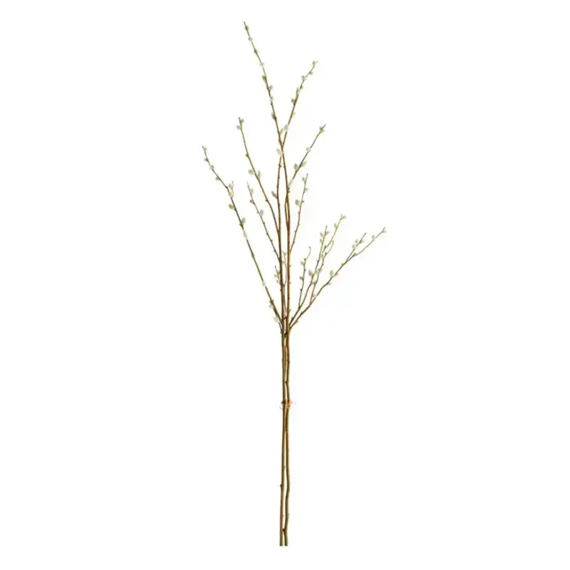 Napa Home & Garden Pussywillow Stem