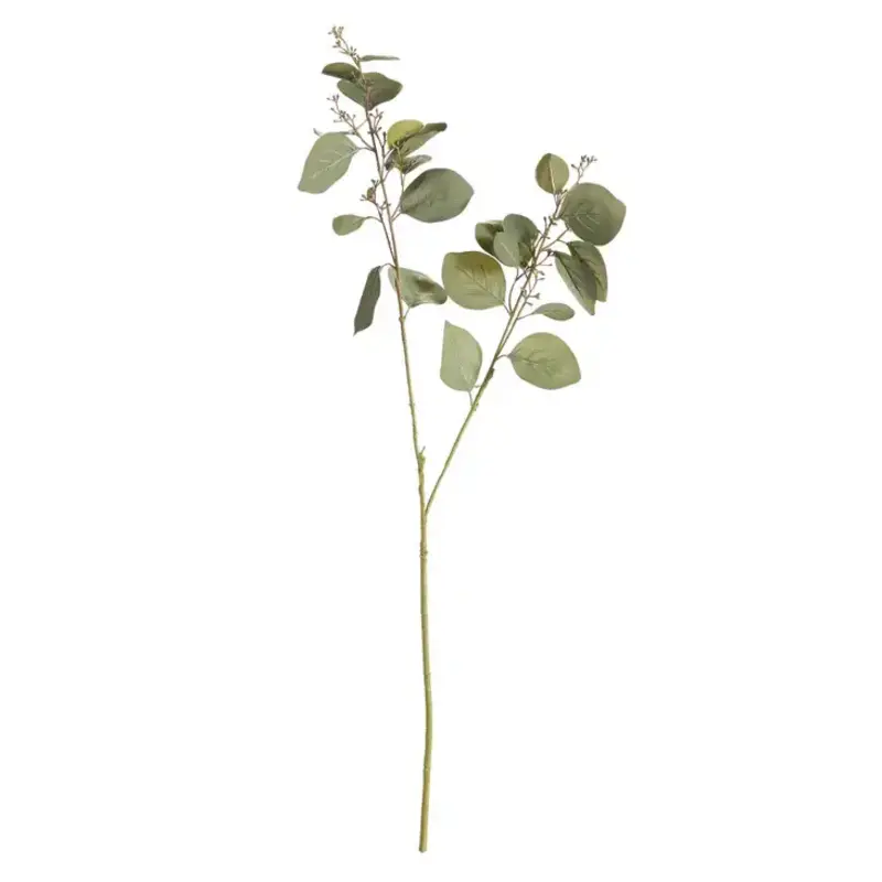 Napa Home & Garden Silver Dollar Eucalyptus Branch