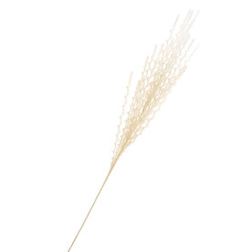 Accents De Ville Beige Grass Stem