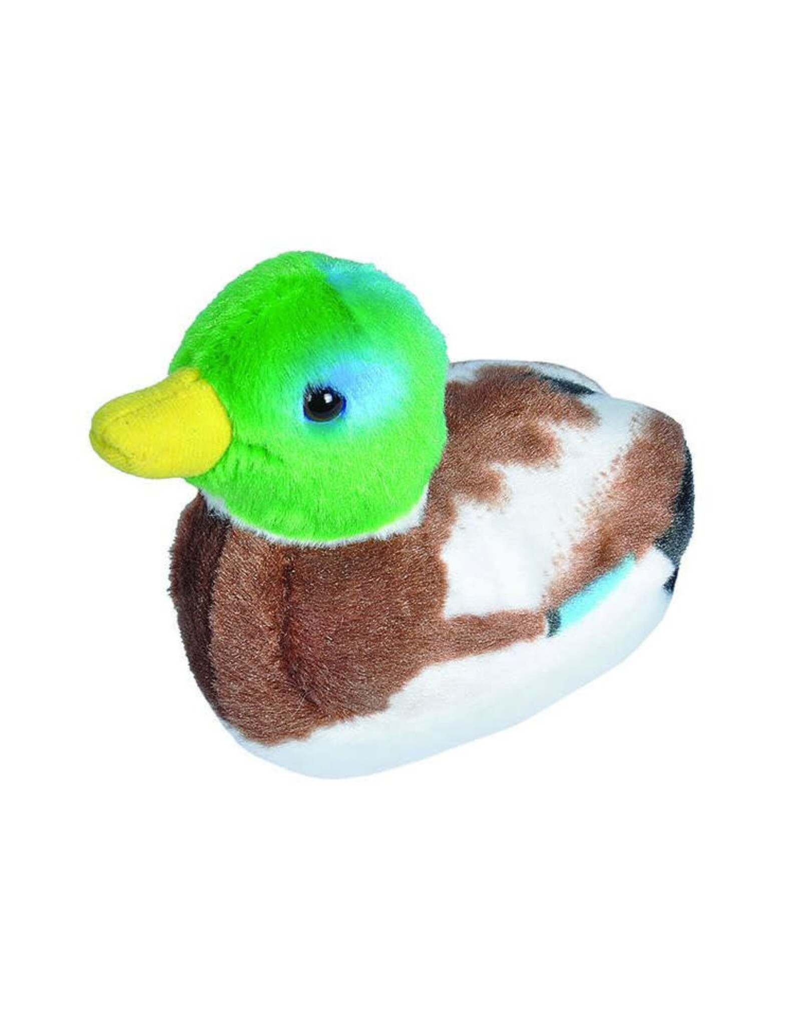 Audubon Bird- Mallard Duck