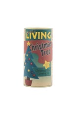 Christmas Tree Seed Kit