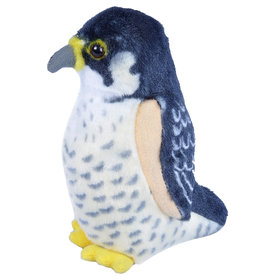 Audubon Bird- Peregrine Falcon