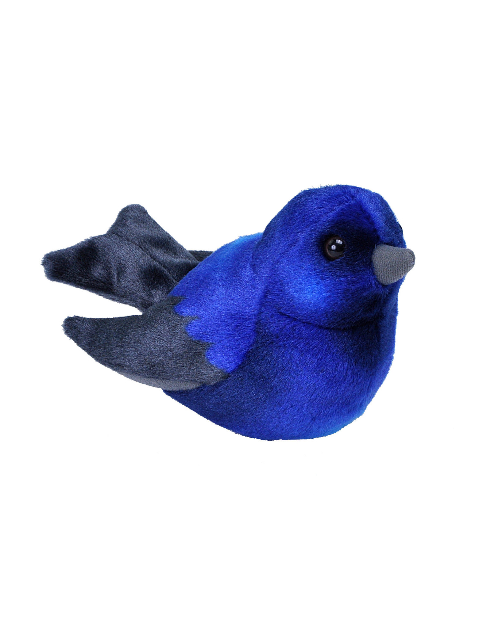 Audubon Bird- Purple Martin