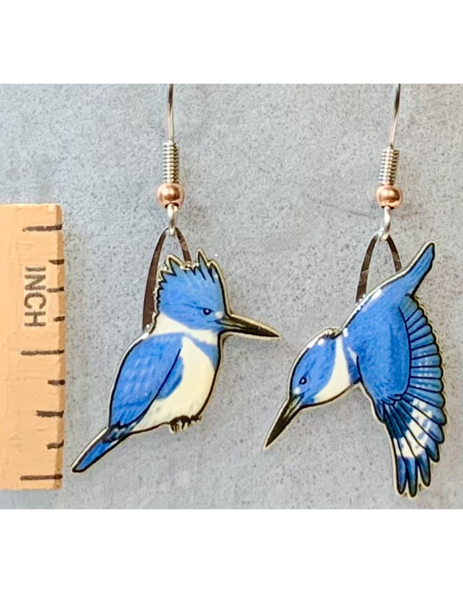 Jabebo Belted Kingfisher Earrings