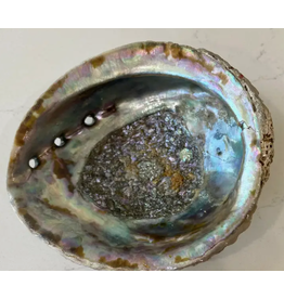 Faiza Naturals Abalone Shell Smudge Bowl (medium)