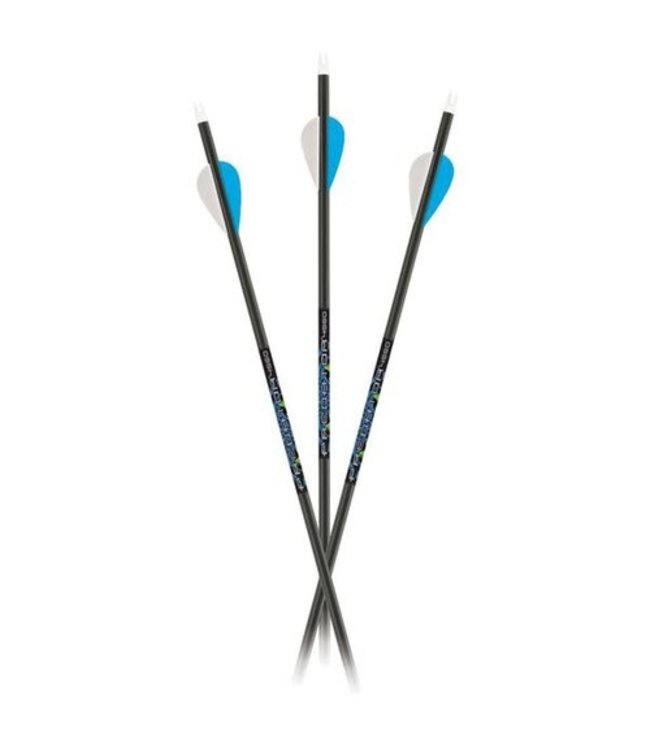CARBON EXPRESS PREDATOR II 6075 CARBON ARROW