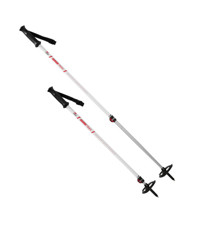 MOUNTAIN SAFETY RESEARCH (MSR) DYNALOCK TRAIL BACKCOUNTRY POLES