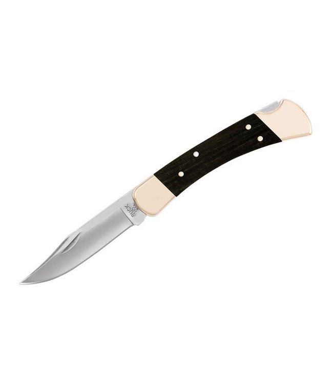 BUCK KNIVES FOLDING HUNTER - FOLDING KNIFE W/SHEALTH