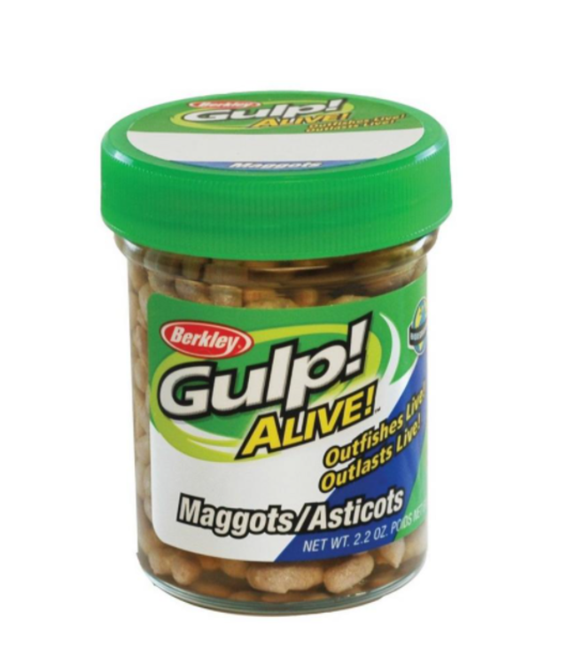 BERKLEY GULP! ALIVE! MAGGOTS