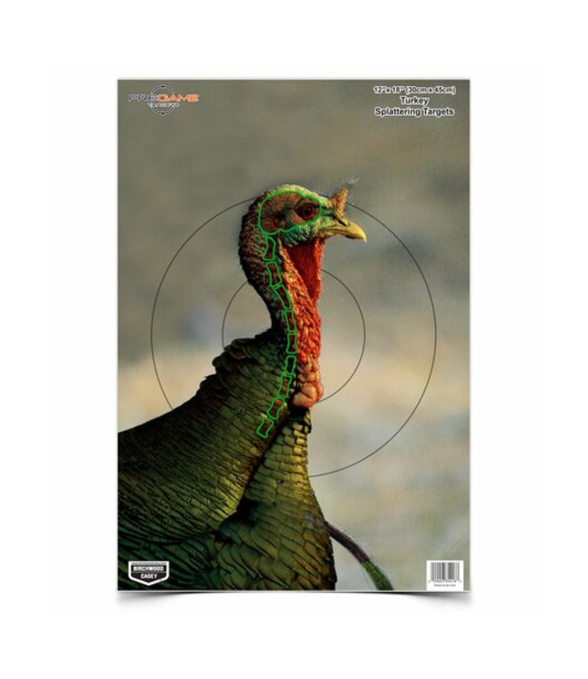 BIRCHWOOD CASEY PREGAME TURKEY SHOOTING TARGETS - 12"X18" (8 PACK)