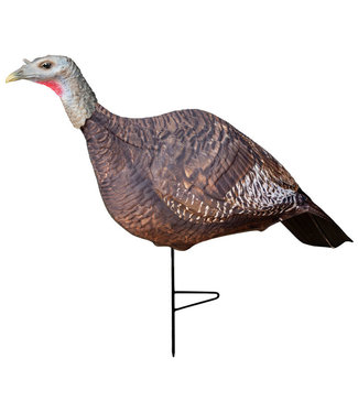 PRIMOS PRIMOS PHOTOFORM HEN TURKEY DECOY