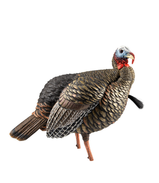 AVIAN-X AVIAN-X HDR JAKE TURKEY DECOY