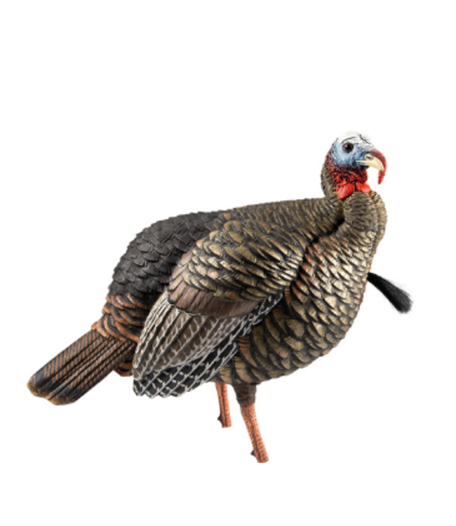 AVIAN-X HDR JAKE TURKEY DECOY