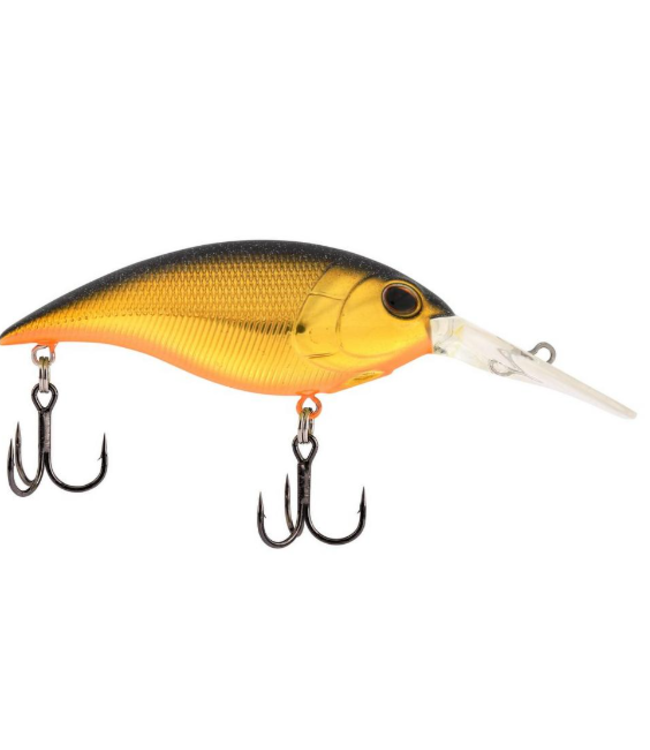 BERKLEY MONEY BADGER