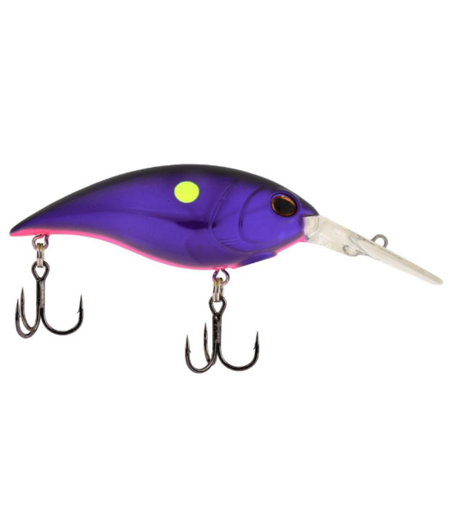 BERKLEY MONEY BADGER