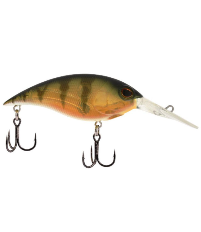 BERKLEY MONEY BADGER