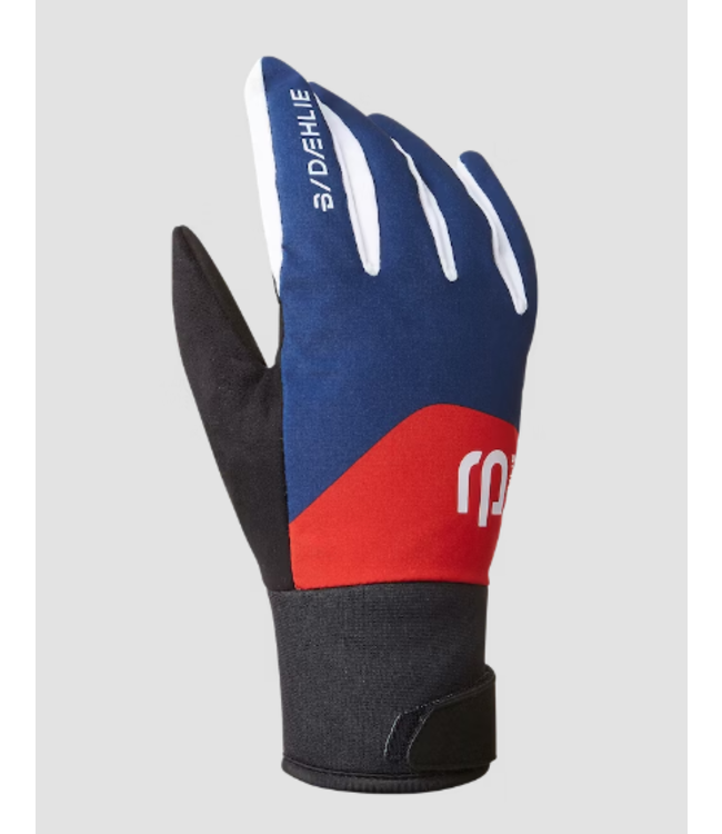 DAEHLIE GLOVE CLASSIC 2.0