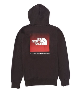 THE NORTH FACE MEN'S THE NORTH FACE PRINTED BOX NSE HOODIE