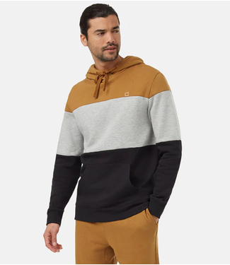 TENTREE MEN'S TENTREE TREEFLEECE BLOCKED REYNARD HOODIE