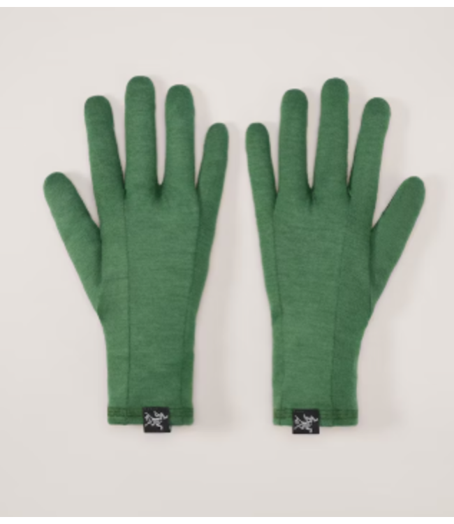 ARC'TERYX GOTHIC GLOVE