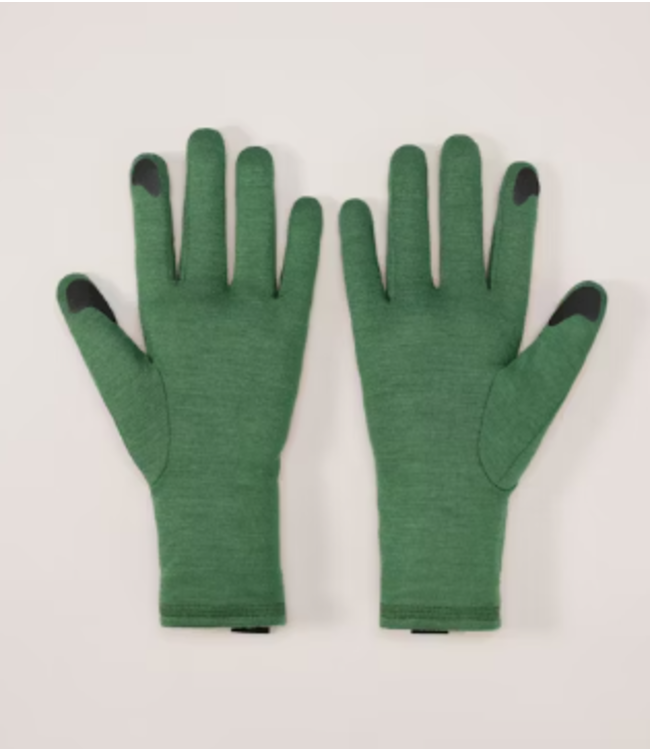 ARC'TERYX GOTHIC GLOVE