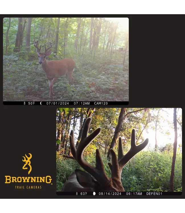 BROWNING TRAIL CAMERA - DEFENDER WIRELESS VISION PRO