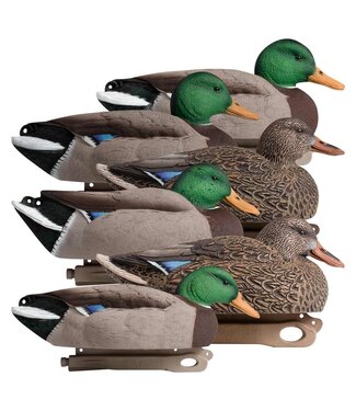 HARD CORE BRANDS HARD CORE RUGGED SERIES MAGNUM MALLARD (6 PACK)