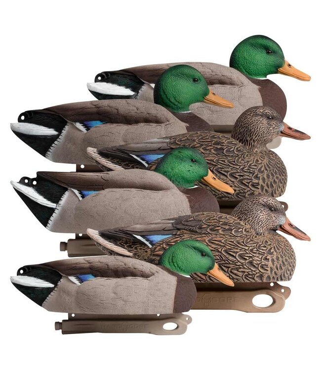 HARD CORE RUGGED SERIES MAGNUM MALLARD (6 PACK)