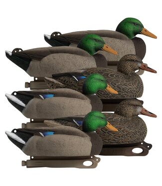 HARD CORE BRANDS HARDCORE RUGGED SERIES STANDARD MALLARD DUCK DECOYS (6 PACK)